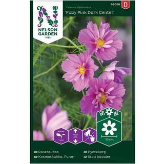 Stolt Kavaler 'Fizzy Pink Dark Center'