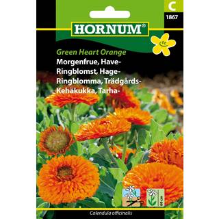 Morgenfrue frø &quot;Green Heart Orange&quot; - Blomsterfrø