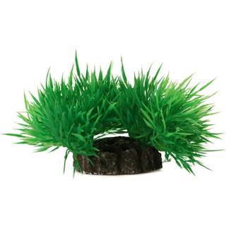 AQUAEL Dekorativ plante 7cm