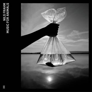 Nils Frahm - Music For Animals (Mobile Fidelity Sound Lab) (4 LP)