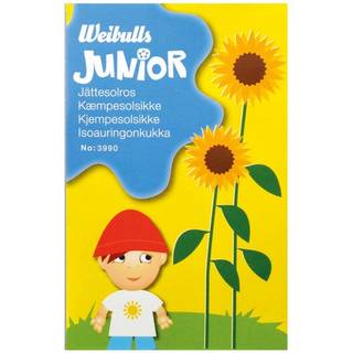 Blomsterfrø (Kæmpesolsikke helianthus annuus) Junior*