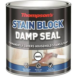 Thompsons Damp Seal TDS250 250 ml