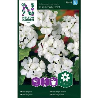Pelargonie 'Inspire White' F1