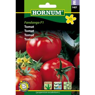 Tomatfrø - Fandango - Tidlig og udbytterig. Kan dyrkes i drivhus eller på friland - Grøntsagsfrø