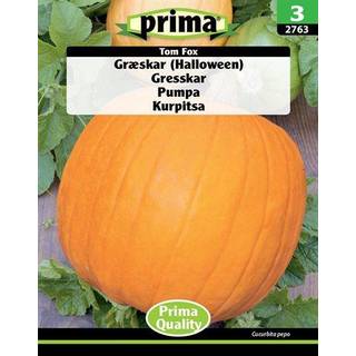 Prima - ® Græskar (Halloween)