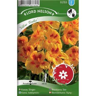 Slyngblomsterkarse 'Yellow Troika'