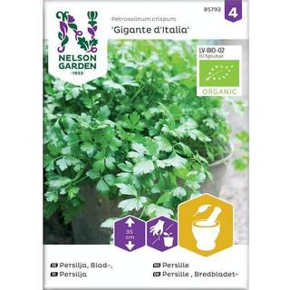 Persille 'Gigante d'Italia' Øko