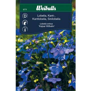 Blomsterfrø (Kantlobelia 'Kejsar Wilhelm')