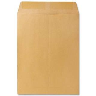 Kvalitetskatalog med parkkatalog 9 1/2 x 12 1/2 konvolutter gummede tunge 28 lb. Kraft -papir til mailing af organisering og opbevaring 250 pr. B