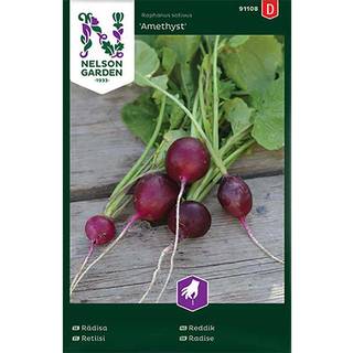 Radise 'Amethyst'