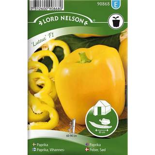 Sød Peber 'Luteus' F1