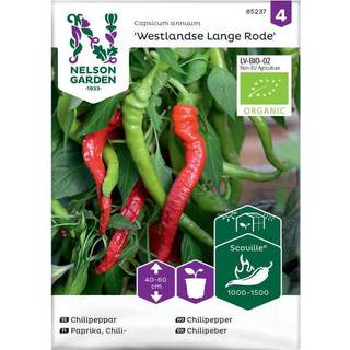 Chilipeber 'Westlandse Lange Rode' Øko