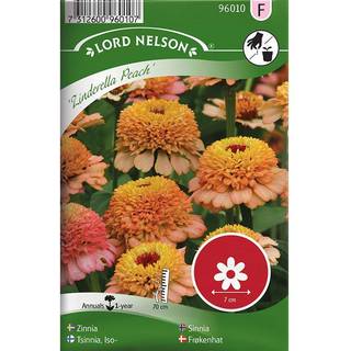 Frøkenhat 'Zinderella Peach'