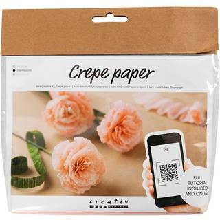 Mini DIY Kit til Crepeblomster - Lav Smukke Nelliker