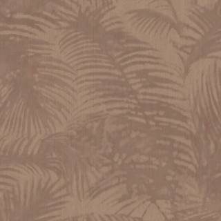 Oasis - 317303
