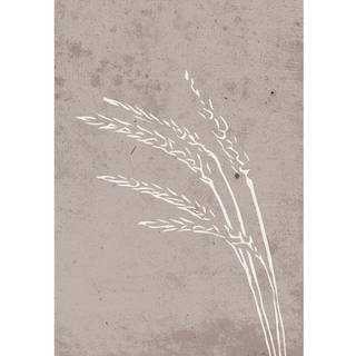 Venture Design Seeds poster 21 x 30 cm Beige