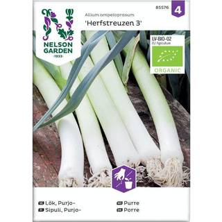 Porre 'Herbstriesen 2' Øko