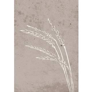 Venture Design Seeds poster 30 x 40 cm Beige