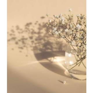 Venture Design White flowers poster 70 x 100 cm Beige