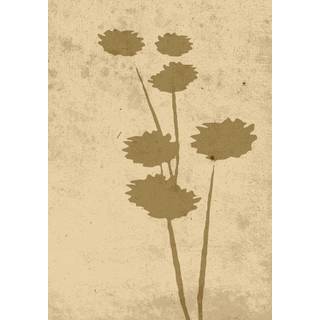 Venture Design Flower art poster 21 x 30 cm Beige