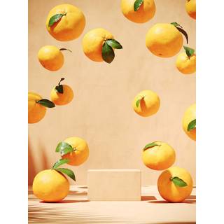 Venture Design Lemons poster 30 x 40 cm Beige