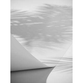 Papyrus Plakat  - Hvid