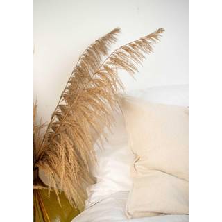 Boheme Plakat  - Beige