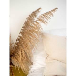 Venture Design Bohemian poster 30 x 40 cm Beige