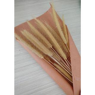 Tørrede Blomster Plakat  - Beige og Pink