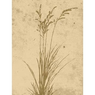 Venture Design Plant art poster 30 x 40 cm Beige