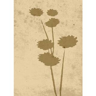 Venture Design Flower art poster 50 x 70 cm Beige