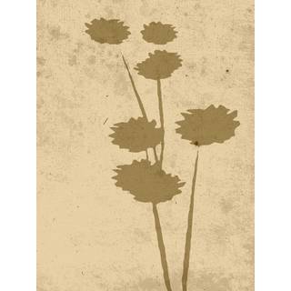 Venture Design Flower art poster 30 x 40 cm Beige