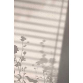 Flower Shadow Plakat  - Hvid