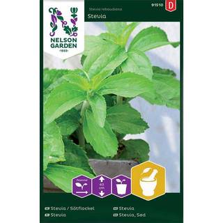 Sød Stevia