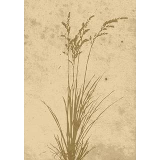Venture Design Plant art poster 21 x 30 cm Beige