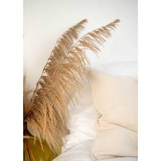 Venture Design Bohemian poster 50 x 70 cm Beige