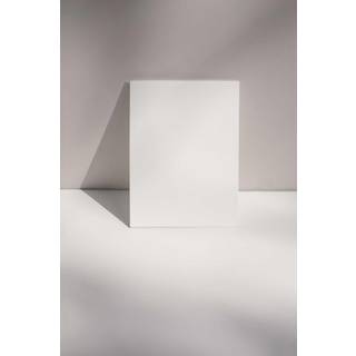 Venture Design Canvas poster 70 x 100 cm Beige