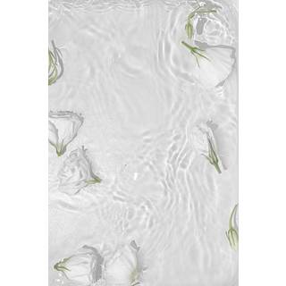 Venture Design White roses poster 30 x 40 cm Hvid