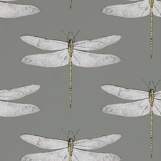 Demoiselle Graphite/Almond - HGAT111242