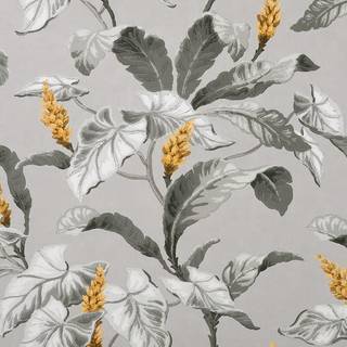 Crown Wallpaper Meridian Parade M1691