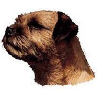 KW BORDER TERRIER 16 CM / 2 STK