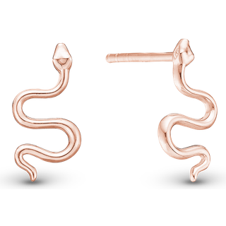 SNAKE