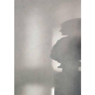 Human shadow Plakat  - Grå og Hvid