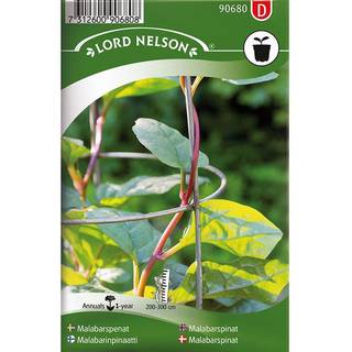 Malabarspinat 'Rubra'