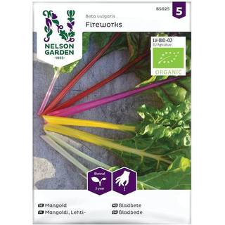Bladbede 'Fireworks' Øko