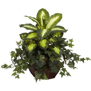 Næsten naturlige Dieffenbachia & Ivy med dekorativ planter