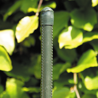 Nsh hegnspæl 150cm plantepæl met/pvc