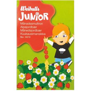Månedsjordbær Junior