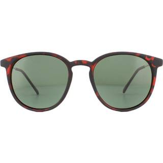Montana Briller MP33 Polarized MP33D 50 Solbriller Mænd Tortoiseshell - Tortoise - 50mm