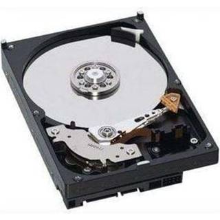 Fujitsu - 600GB - Harddisk - S26361-F3244-L560 - SAS - 3.5"